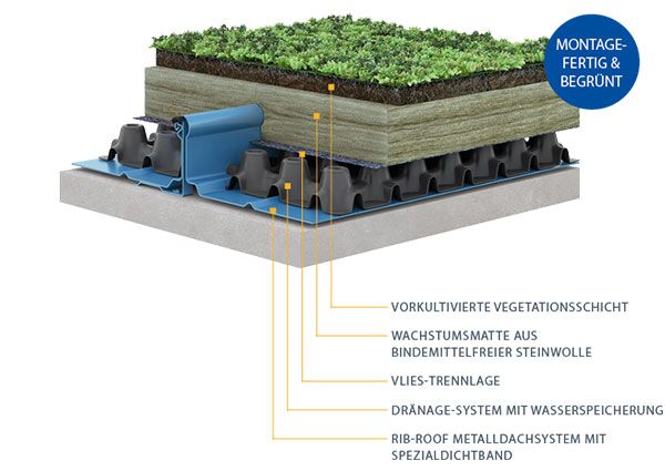 Gründach für Klemmdachprofile | RibRoof
